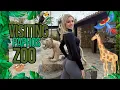 Lagu Visiting Paphos Zoo: Beautiful Animals, Big Questions | Honest Experience with Peyton Kinsly