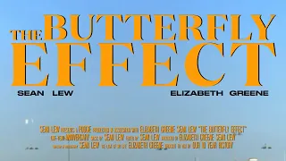 what s the butterfly effect