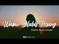 Download Lagu Walau Habis Terang (Peterpan) - Cover Meisita Lomania [Lirik]