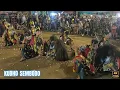 Download Lagu TERBARU‼️JARANAN KREASI BARU KESURUPAN || JATHILAN KUDHO SEMBODO FULL NDADI LIVE COMBONGAN JAMBIDAN