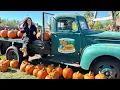 Siegel s Cottonwood Farm PUMPKIN FEST Lockport Illinois - QUICK GLANCE
