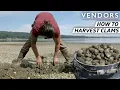 The Techniques Behind Harvesting the Best Clams on the West Coast Vendors