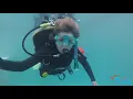 Download Lagu PADI Youth Programs - Learn to Dive