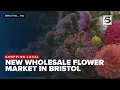 Bristol launches new wholesale flower market to boost local farmers and florists
