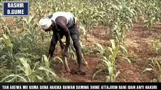 HASSAN WAYAM WAKAR NOMA 