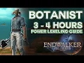 Leveling Botanist from 80 to 90 in 3 - 4 hours