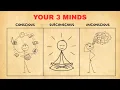 The 3 Levels of Your Mind EXPLAINED Conscious vs Subconscious vs Unconscious