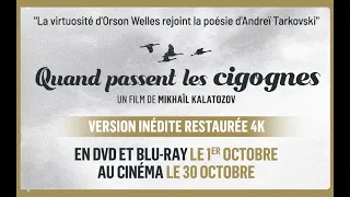 Quand passent les cigognes - Bande Annonce [VOST]