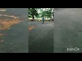 In ts chanakya got snake anaconda