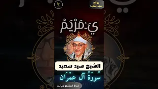 روائع الشيخ سيد سعيد سورة ال عمران و كفلها زكريا كلما دخل عليها Quran Islam قرآن Shorts 