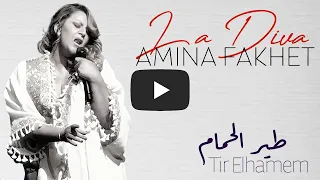 Amina Fakhet Tir Elhamem أمينة فاخت طير الحمام  Amina Fakhet Tir Elhamem أمينة فاخت طير الحمام