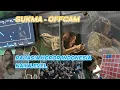 Download Lagu LAST DAY SHOOTING SUKMA! SPILL EFEK HOROR YANG BIKIN MERINDING