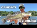 Download Lagu CANDÁTI Z ORLÍKU 1.DÍL