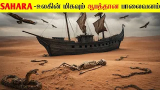 1000 ஆண்டுகளுக்கு முன் சகாரா பாலைவனம் எப்படி இருந்தது⁉️| Sahara Desert Documentry | @MrX_76