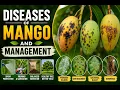 Diseases of Mango and Their Management