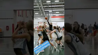 Michigan Premier Basketball michiganpremierbasketball7937