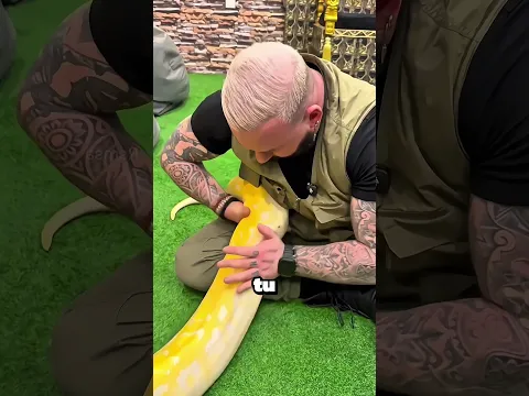 L’osteopata dei serpenti🤯😳