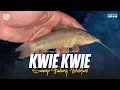 FISHING TILL NIGHT FOR KWIEKWIE | SURINAME | HASSA | CASCADURA | HOPLOSTERNUM LITTORALE