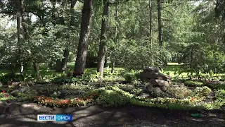 «Вести Омск», утренний эфир от 25 июля 2023 года