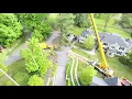 Tree Removal H264 1080p