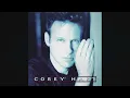 Take My Heart Corey Hart  karaoke lower key  - 3 LR
