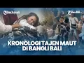 Download Lagu KRONOLOGI Tajen Maut di Bangli Bali, Komang Alam Terluka di Perut, Luwes Terkena Sabetan Taji