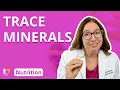 Trace Minerals - Nutrition Education for Nursing Students LevelUpRN