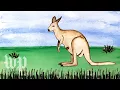 What happens inside a kangaroo s pouch Anna s Science Magic Show Hooray