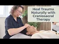 Craniosacral Therapy Trauma Healing Through Gentle Touch Edina Palko The Health Suite