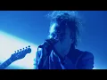 Enter Shikari - Solidarity (Live at Alexandra Palace. Nov 2017)