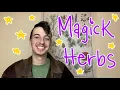 7 Magick Herbs For Beginner Witches