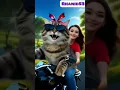 Download Lagu Kucing belang berpita merah naik motor besar bersama gadis cantik ber t-shirt merah