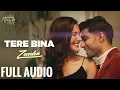 Download Lagu Tere bina - Full Audio - Zaeden | ft. Amyra Dastur | Kunaal Vermaa | VYRLOriginals