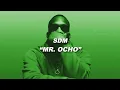 SDM - Mr. Ocho (Paroles)