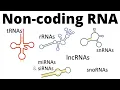 Download Lagu ncRNAs - all types of non-coding RNA (lncRNA, tRNA, rRNA, snRNA, snoRNA, siRNA, miRNA, piRNA)