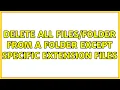 Delete all from a folder except specific extension files 2 Solutions
