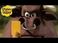 Download Lagu Shaun the Sheep 🐑 The Angry Bull 🐮🔴 Full Episodes Compilation [1 hour]