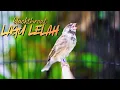 Lagu BLACKTHROAT GACOR SUARA JERNIH LAGU LELAH paling DICARI buat MASTERAN KENARI PAUD BELAJAR BUNYI