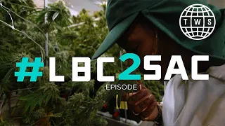 Weedmaps Episode 1