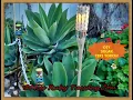 Miss Ruby Tuesday - DIY Solar Tiki Torch