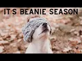 TIKTOK MADE ME BUY IT Best Top Coolest Beanies Amazon Must Have How To Get Click Description