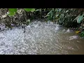 Download Lagu BERKAH BANJIR 