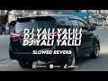 Download Lagu DJ YALI YALILI - SLOWED REVERB (djusup)