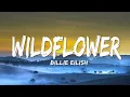 Download Lagu Billie Eilish - WILDFLOWER (Lyrics)