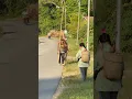Download Lagu Suku dayak bakati pulang dari ladang