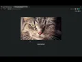 CS50 web programming