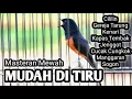 Download Lagu MURAI BATU GACOR FULL ISIAN TEMBAKAN MEWAH SANGAT AMPUH MELATIH MURAI BATU BONGKAR ISIAN