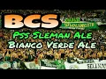 Lagu BCS Invasi GBT Surabaya ! Bianco Verde Ale Pss Sleman