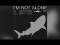 Calvin Harris - I'm Not Alone (2019 Extended Mix)