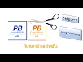 PowerBasic Snippets - Tutorial on the Prefix command